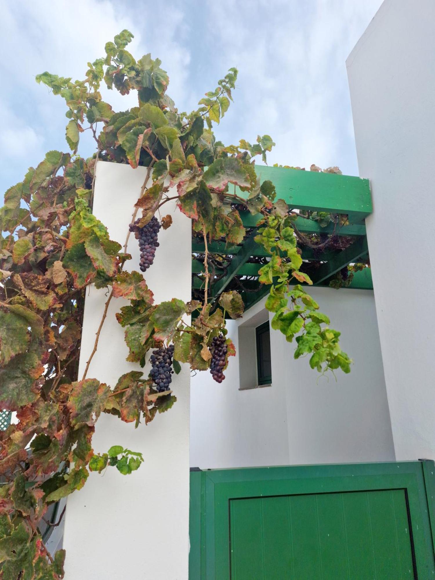 Casa Maracuya Villa Costa Teguise Luaran gambar